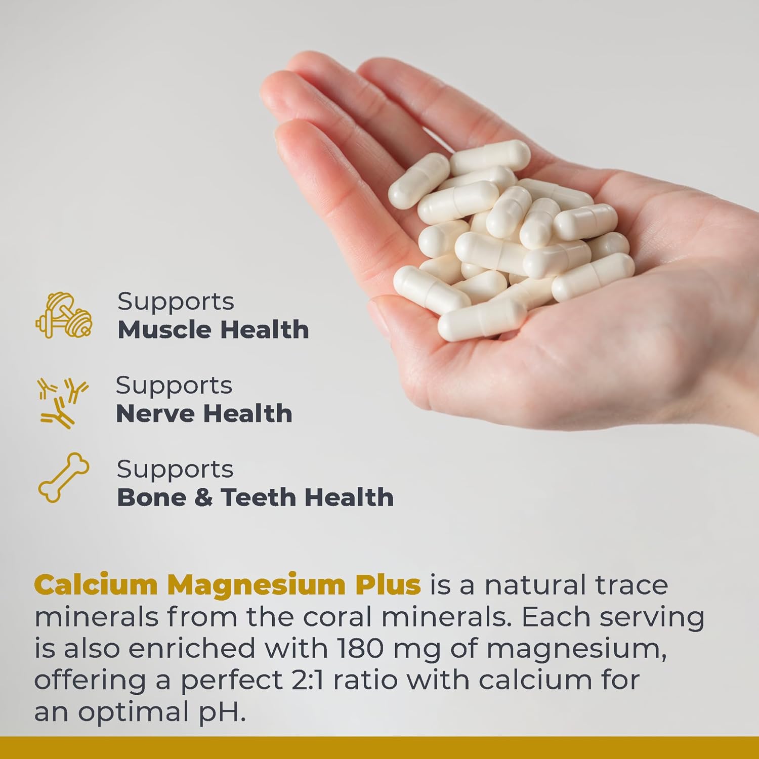 Premier Research Labs Calcium Magnesium Plus - Calcium Magnesium Supplement, Calcium Supplement for Bone Health, with Mushroom Complex - Reishi & Lions Mane - 90 Vegetarian Capsules