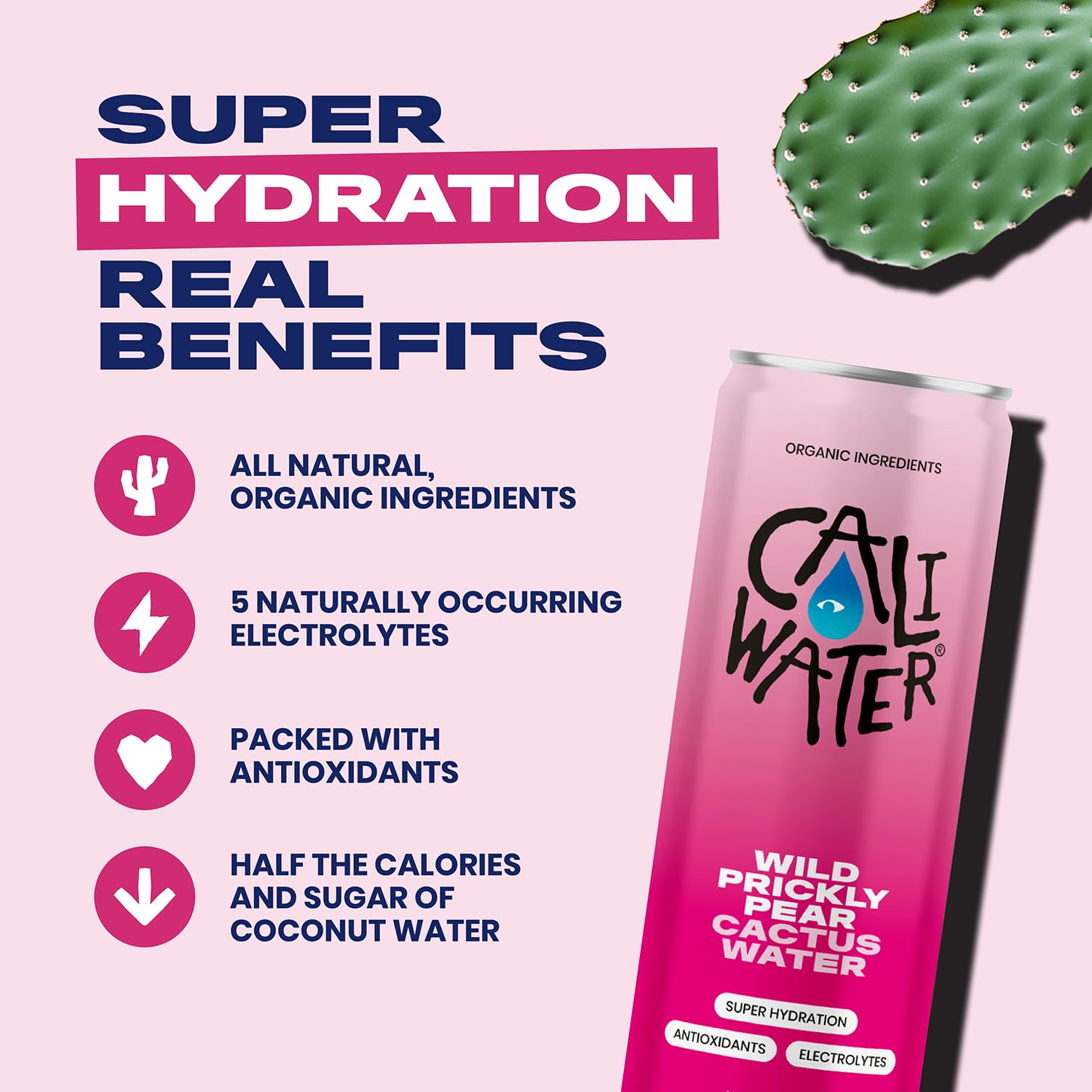 Caliwater - Organic Cactus Water - Wild Prickly Pear - 5g Sugar, 25 Calories - Coconut Water Alternative - Natural Plant Based Hydration - Skin Care, Electrolyte Drinks - Flavored Water - 12 Cans
