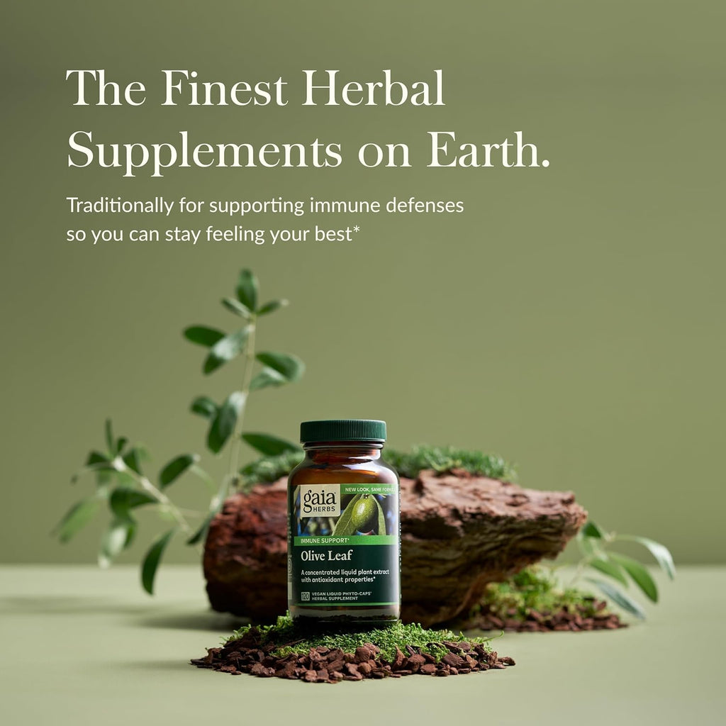 Gaia Herbs Olive Leaf - Traditional Immune Health Support - Immune System Supplement with Olive Leaf Extract and Oleuropein - 120 Vegan Liquid Phyto-Caps