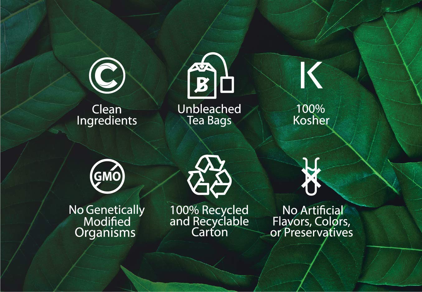 Buddha Teas Organic Bilberry Leaf Tea - OU Kosher, USDA Organic, CCOF, 18 Bleach-Free Tea Bags