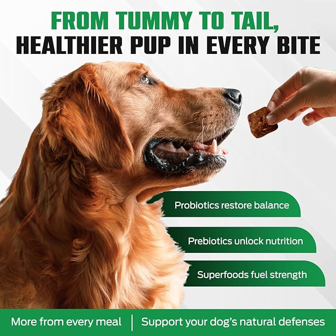 K10 Probiotic Chews for Dogs (60ct) – Advanced Digestive Support with Probiotics, Prebiotics & Superfoods – Vet-Preferred Dog Supplement for Digestion, Immunity, Skin, Coat & Everyday Vitality