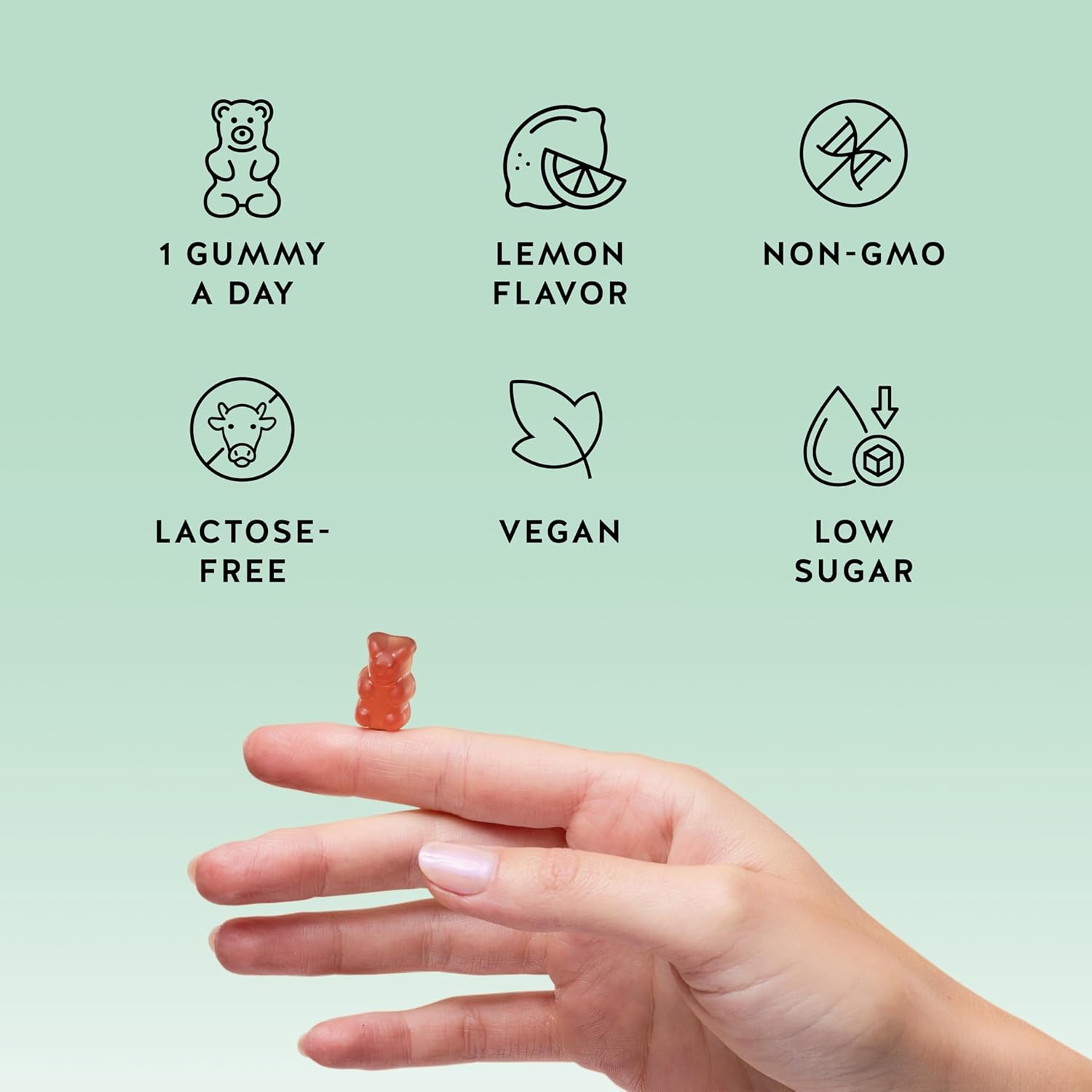 Immune Support Gummies – Vitamin C, D, B6 & B12 – Daily Immune Boost – Vegan, Naturally Flavored (30 Gummies)