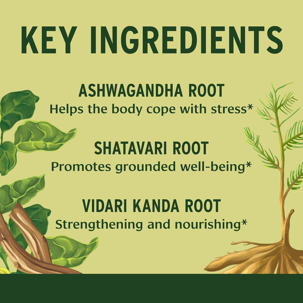 Banyan Botanicals Healthy Vata – Organic Herbal Supplement with Ashwagandha, Shatavari & Other Ayurvedic Herbs for Calm and Balanced Well-Being* – 90 Tablets – Non-GMO Sustainably Sourced Vegan