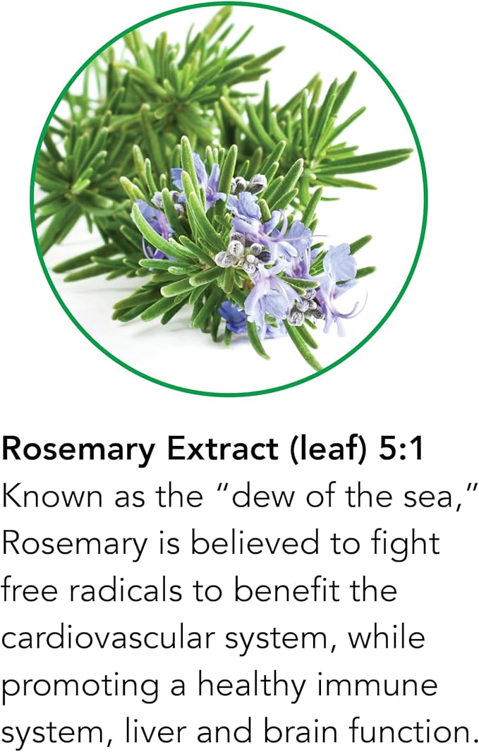 Botanic Choice – Rosemary Leaf Liquid Extract – Alcohol Free, Gluten Free – Fast Acting Supplement Drops – Easy to Use Dropper – 1 Fluid Ounce