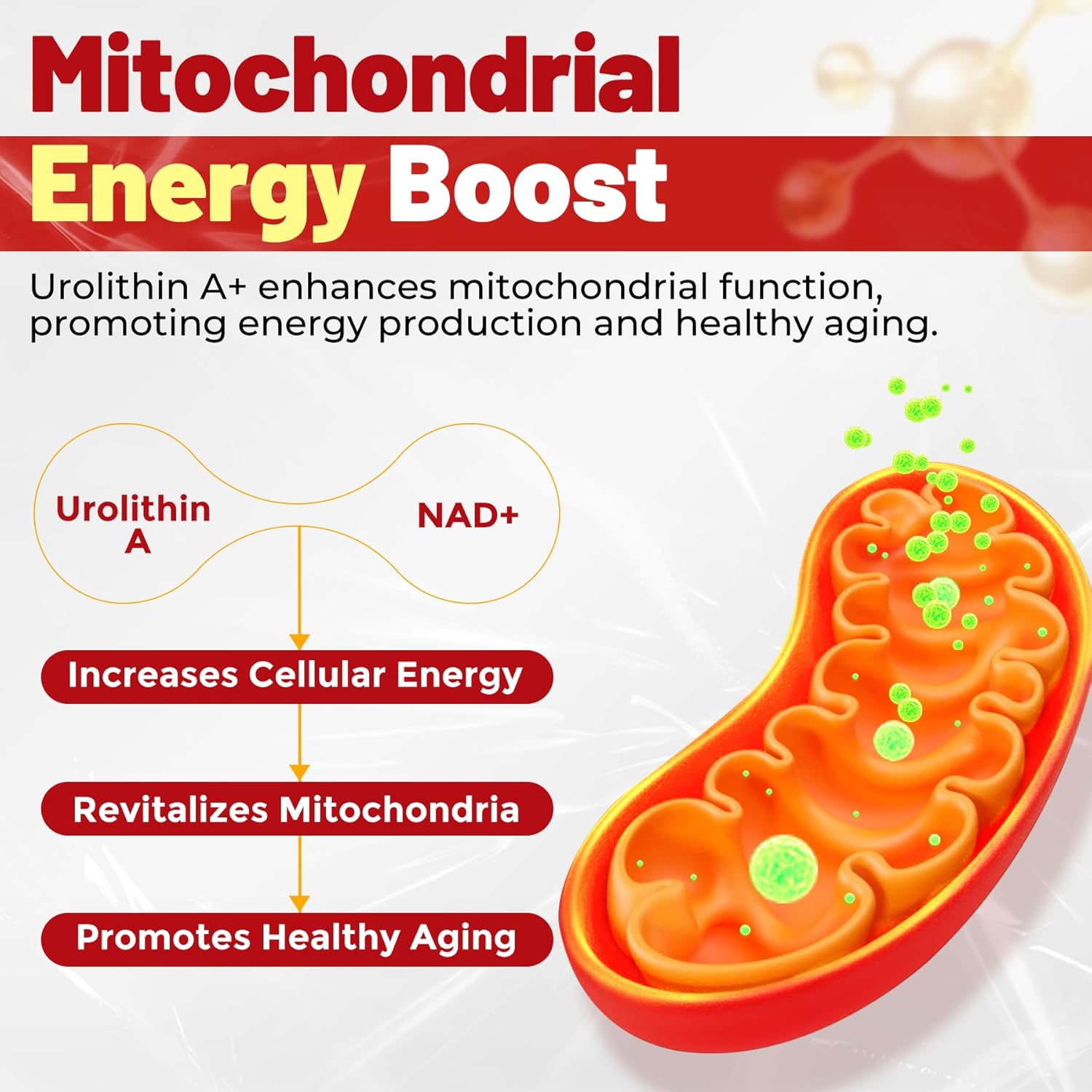 Urolithin A Gummies for Longevity & Muscle Energy, 1000mg Liposomal Urolithin A+ Supplement with NAD+, CoQ10, Resveratrol & L-Carnitine for Cellular, Mitochondrial, Brain & Heart Health, Vegan, 60ct