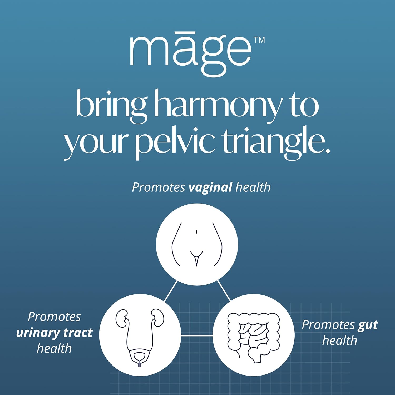 Māge by Solv Wellness Probiotic for Her, Daily Women’s Prebiotic and Probiotics Blend Nutritional Supplements for Digestive, Vaginal PH Balance, Urinary Tract Health Support, 30 Capsules