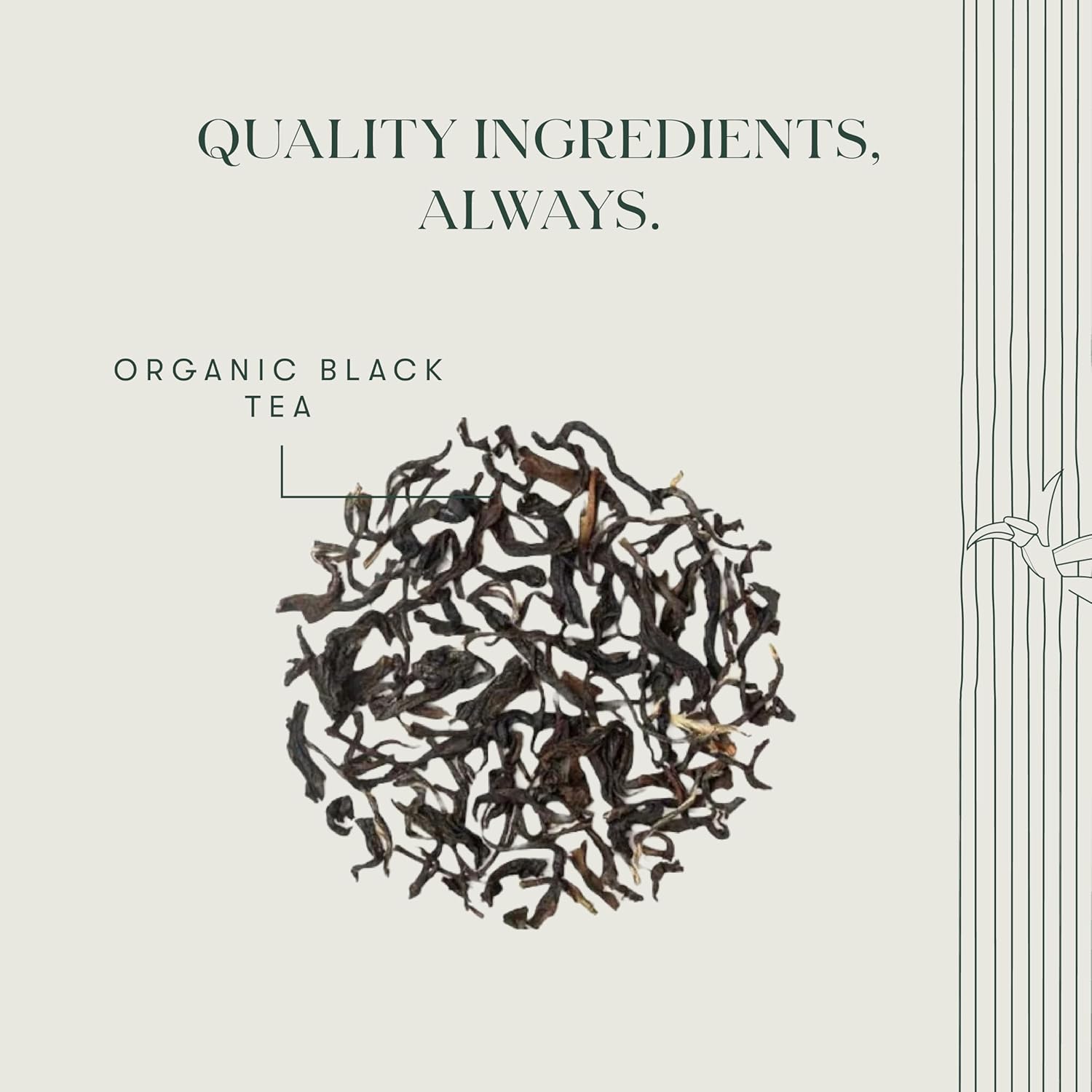 Luxmi Estates - Queen of the Hills - Organic Black Tea - Loose Leaf - 100g (50 Cups) | Freshly Harvested Organic Makaibari Darjeeling Tea | Best Natural Flavor Tea The World Has To Offer
