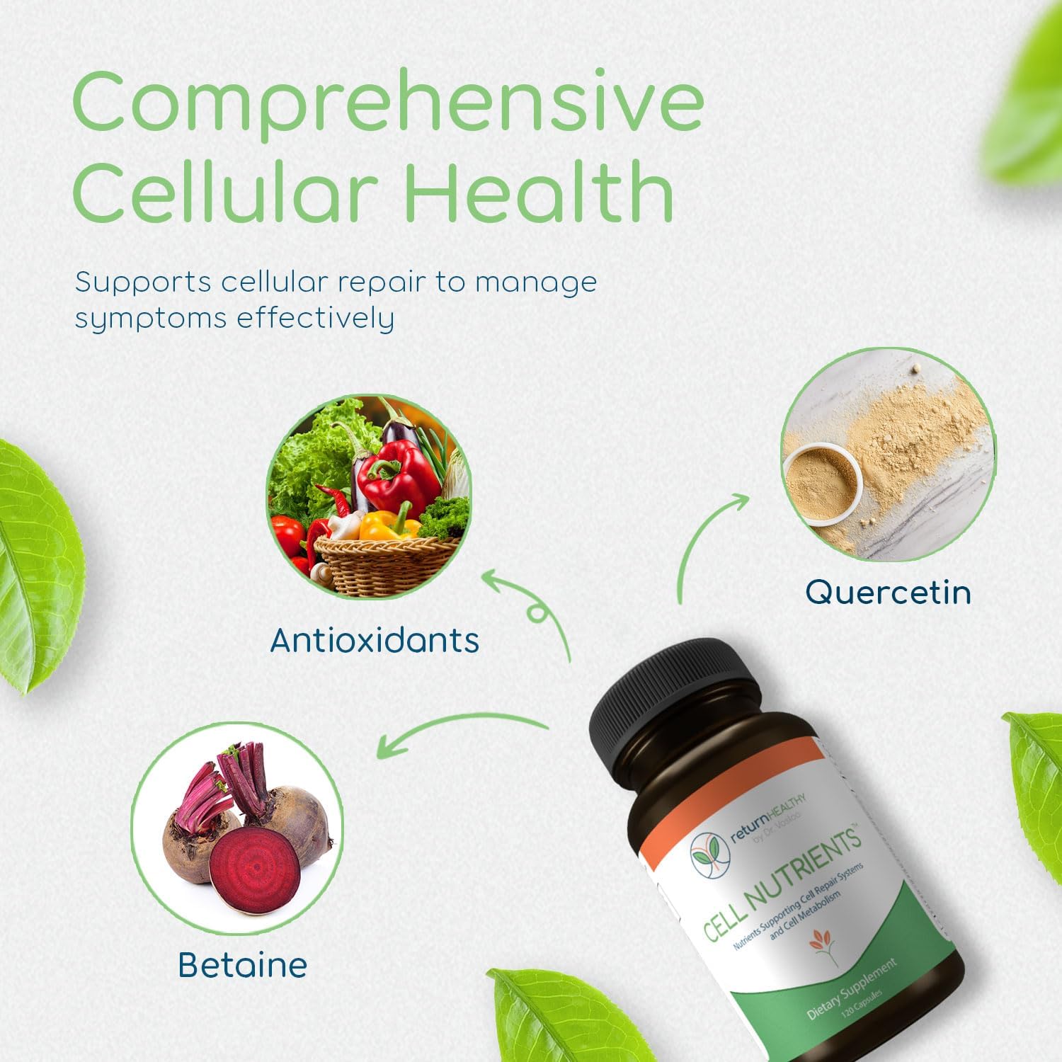 Cell Nutrients | Promotes Cell and Membrane Repair & Cell Metabolism | Helps Fight Tick-Borne Infections & More | Mitochondrial Supplements | Non-GMO, Vegan, 120 caps