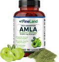 FineLand Amla (Indian Gooseberry) 20X Full Spectrum Extract – 30,600mg Equivalent per Serving with BioPerine® for Absorption, Rich in Natural Vitamin C, Immune & Digestive Support – 90 Vegan Capsules