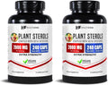 Healthfare Plant Sterols Capsules 2000mg | 240 Vegan Capsules | Beta Sitosterol & Phytosterol Complex | Plant-Based Supplement | Non-GMO & Gluten-Free | Made in The USA (Pack of 2)