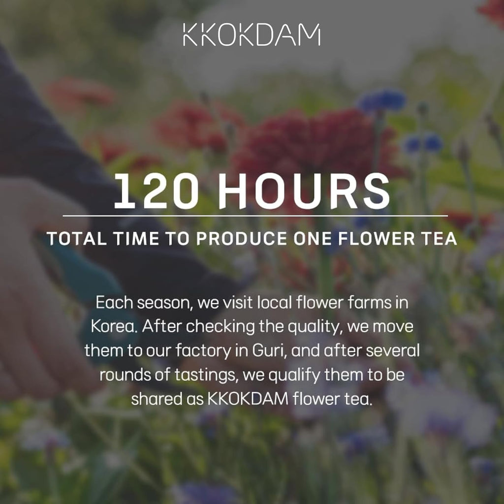 KKOKDAM Kombucha Tea - Lemon & Chrysanthemum Korean Tea - Kombucha Drinks Probiotic Support, Low Calorie, Sugar Free Kombucha Pack - 500g Bulk Pouch