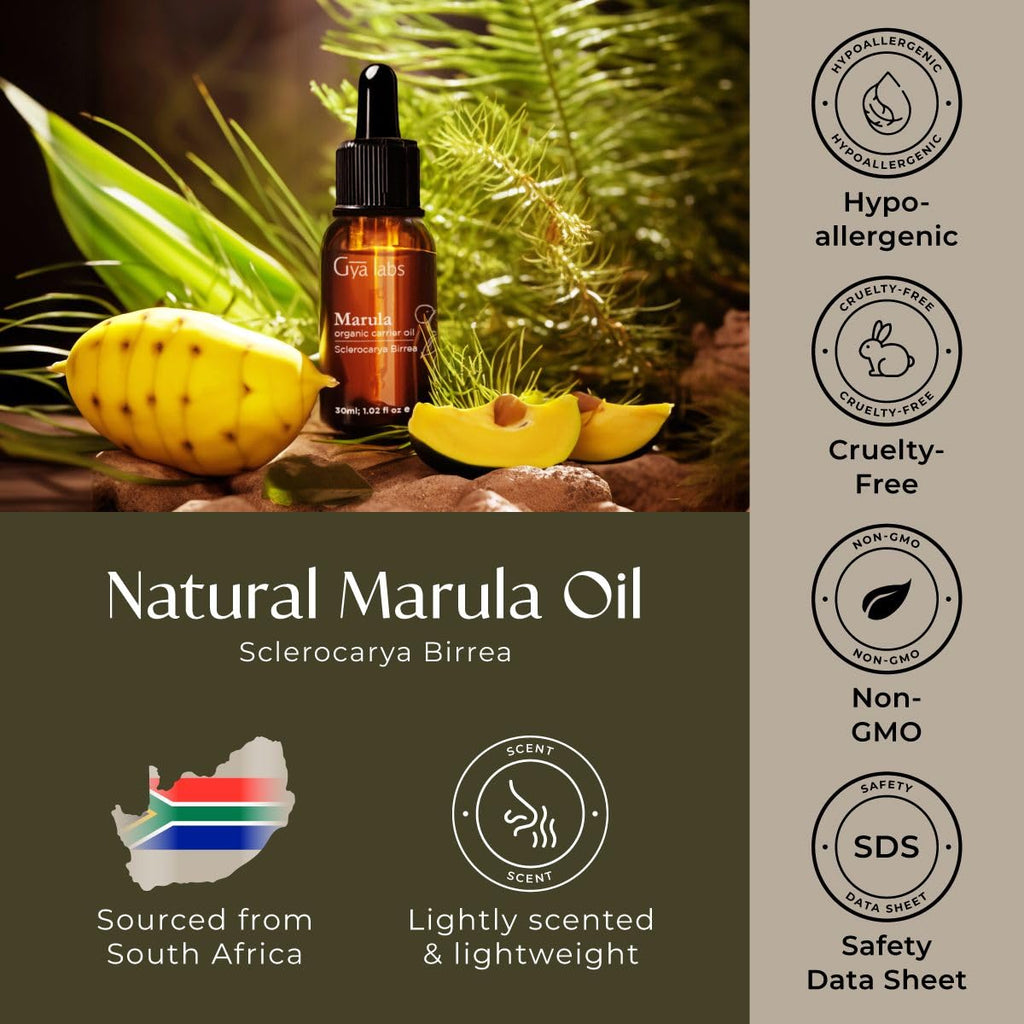 Gya Labs Organic Marula Oil for Skin - 100% Pure Natural Unrefined Marula Carrier Oil for Hair, Face, Nails, Massage & Hair (1 Fl Oz)