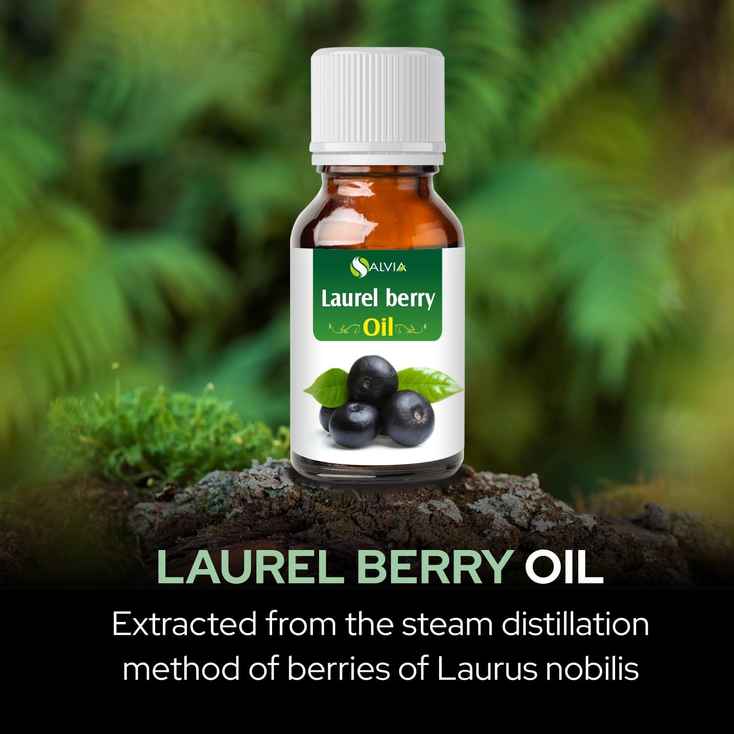 Laurel Berry Oil | Pure and Natural Essential Oil | Use for Hair Care, Skin Care | Used in Soap, Shampoo, Lotion, Serum| DIY Cosmetic Grade 100 ML
