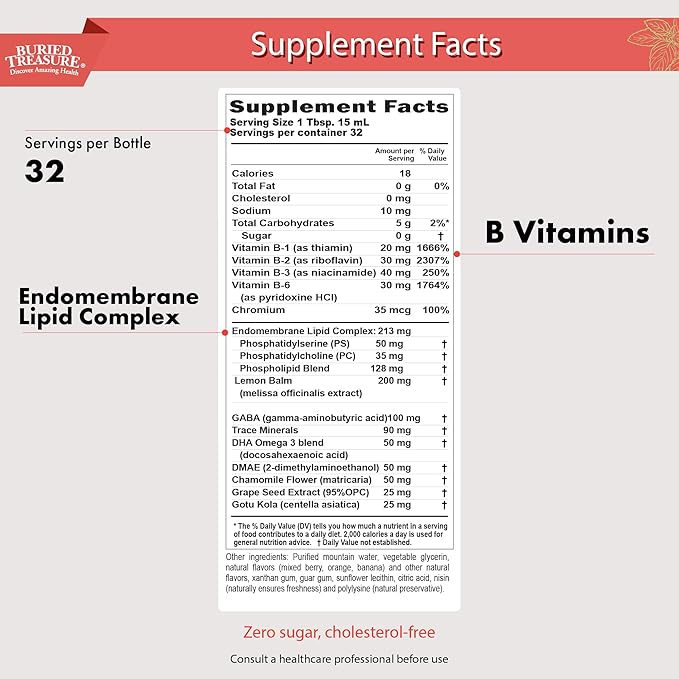 Buried Treasure - Added Attention - Children's Learning Support with GABA DHA Vitamin B and Herbal Blend - Aid Healthy Brain Functions - Improved Short-Term Auditory Memory Focus & Behavior 16.54 oz