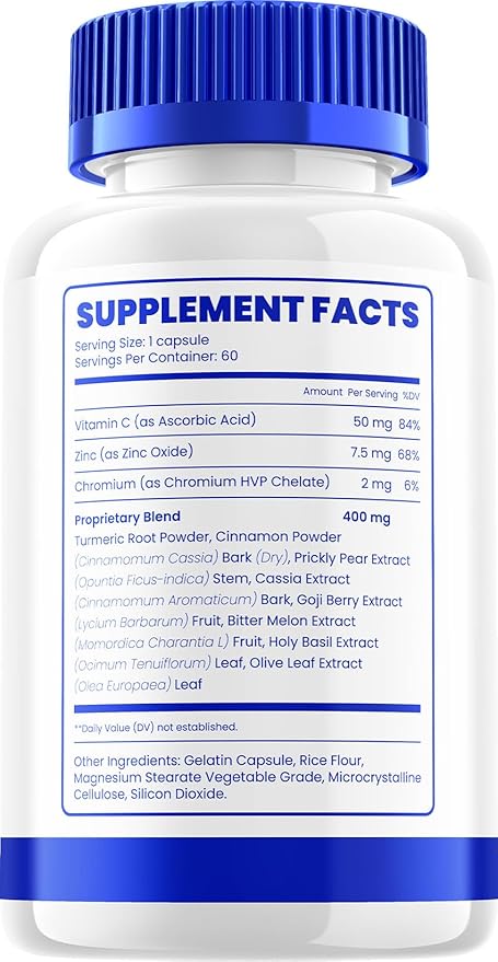Vismax Capsule Supplement – Vis Max Eye Support Multivitamin with Natural Ingredients (1 Pack - 60 Capsules)