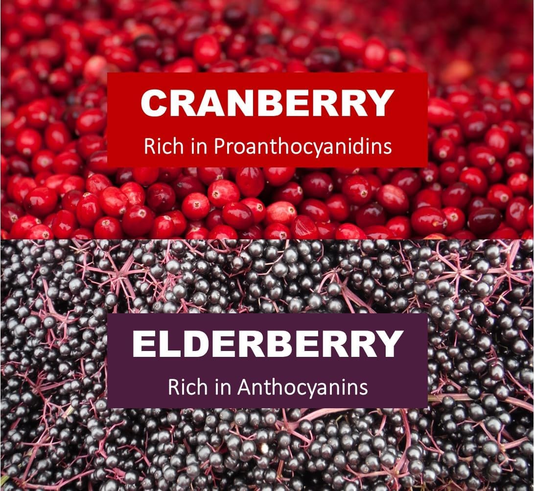 Immunia Urinary Health. Cranberry & Elderberry Concentrate for The Prevention of Urinary Infections. Natural. Delicious. 5 ml/Day. (3-Pack)