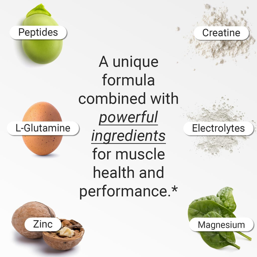 FLT Muscle Supplement with Clinically Proven Ingredients for Muscle Strength, Recovery, Endurance & Muscle Mass Maintenance - with Peptides, Creatine, Magnesium, Zinc & Electrolytes – 30 Servings