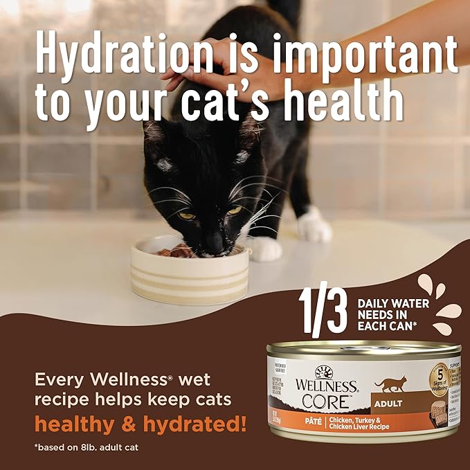 Wellness CORE+ Skin & Coat Pate Adult Wet Cat Food, Natural, Protein-Rich, Grain Free, 2.8 Ounce, 12 Pack (Duck & Chicken)