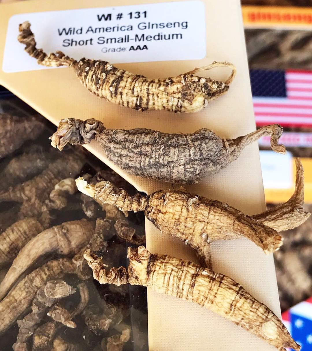 8OZ=227g/Box American Wild Ginseng 15~20 Years, American Wisconsin Whole Ginseng Root Hand-Selected | 美国威斯康辛州野生西洋参 花旗参 野泡参 整枝小号 |Cultivated American Ginseng WI 131# 8OZ/Box