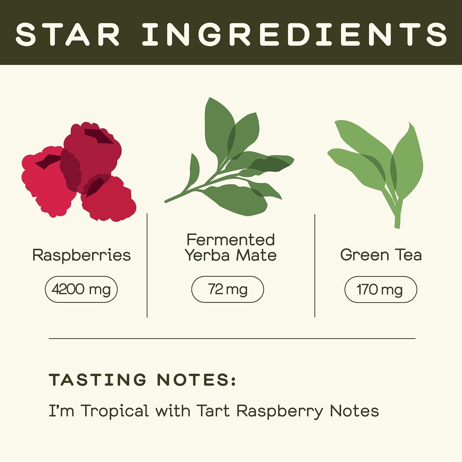 Greenhouse Juice Organic Energy Shot Pick-Me-Up Wellness Shot with Yerba Mate + Green Tea & Caffeine Energy Immunity Shots Vegan & Gluten-Free (2 Oz, Pack of 12)