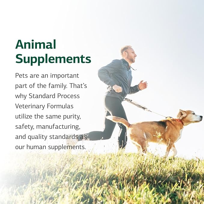 Standard Process Inc. Whole Body Multisystem Support Supplement for Canines - Nutritional Powder for Daily Health Maintenance - 25 g