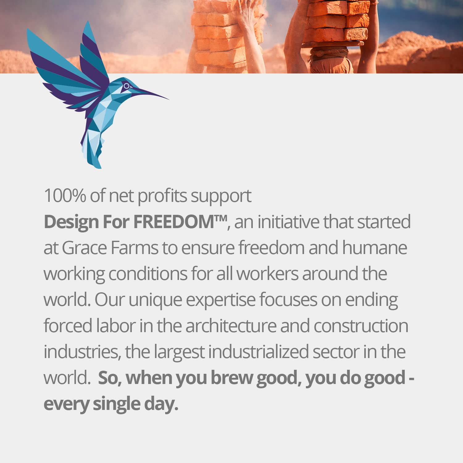 Grace Farms Organic HIBISCUS ORANGE Herbal Tea (100 Enveloped Pyramid Sachets w/String & Tag) | Healthy and Caffeine Free | Organic, Fair Trade and Kosher Certified | Gives Back 100% of Profits