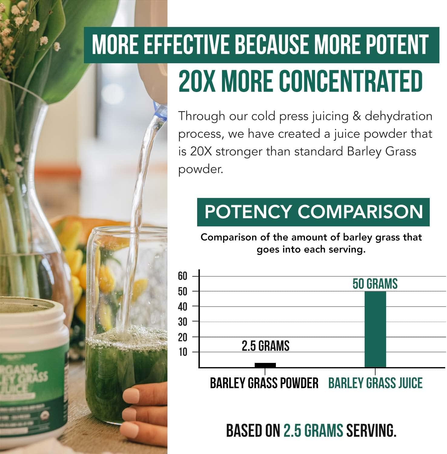 Organic Barley Grass Juice Powder - Grown in Volcanic Soil of Utah - Raw & BioActive Form, Cold-Pressed then CO2 Dried – Gluten Free, GMO free, Vegan - Complements Wheatgrass Juice Powder - 5.3 oz