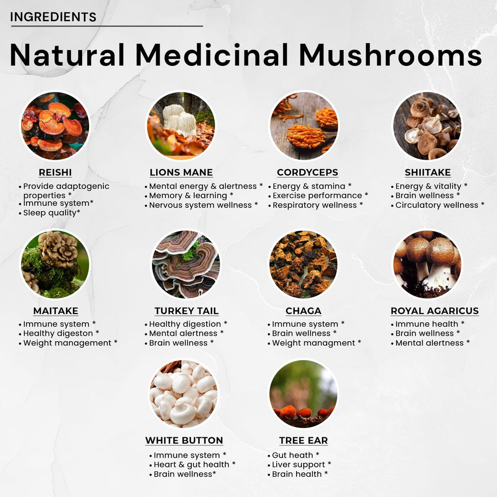 ACEWORKZ 10 Mushroom Complex Supplement - Lion’s Mane, Reishi, Cordyceps & More - Brain Health, Memory & Focus Nootropic - Energy & Immune Support (90 Capsules)