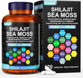 25-in-1 Sea Moss Black Seed Oil Ashwagandha Ginger Shilajit Supplement, with Burdock Root, Rhodiola Rosea, Vitamins C & D3, Shilajit Capsules for Men & Women - Boosts Energy, Skin, Joints & Immunity