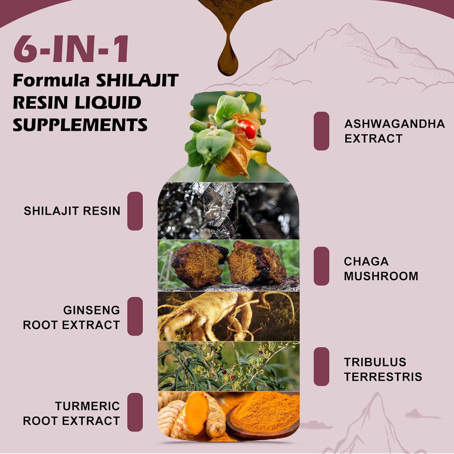Shilajit Resin Liquid Drops for Men and Women with Ashwagandha, Turmeric, Ginseng, Chaga, 85+ Trace Minerals Fulvic Acid Shilajit Complex for Digestion Support, Energy Booster - Vegan