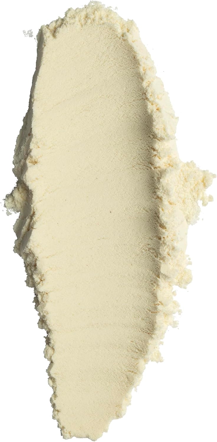 Amy Myers MD Paleo Protein Powder - with Collagen Peptides for Gut Health - Supports Hair, Skin & Nails - Non-GMO, Gluten-Free, Non-Dairy & More - Salted Caramel - 19.54 oz (20 Servings)