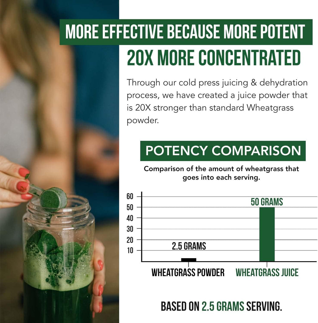 Organic Wheatgrass Juice Powder - Organically Grown in Volcanic Soil of Utah - Raw & BioActive Form, Cold-Pressed Then CO2 Dried, 20:1 Super Concentrate - Lemon (6.2 oz - 60 Servings)