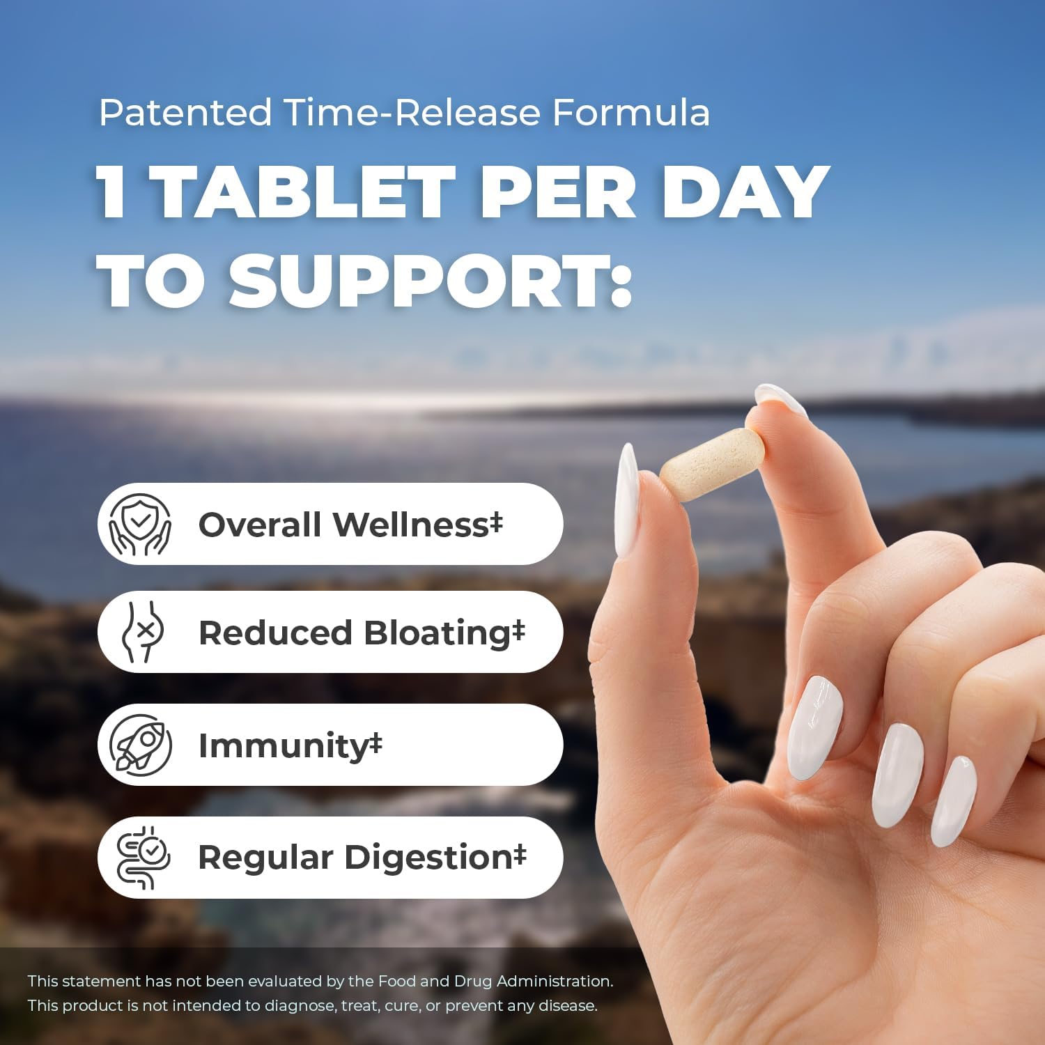 Balance ONE Probiotic for Women & Men – Time-Release Tablets for 15x Survivability – 12-Strain Formula with L. Plantarum & L. Acidophilus – Gut & Digestive Health Support – 60 Tablets (30-Day Supply)