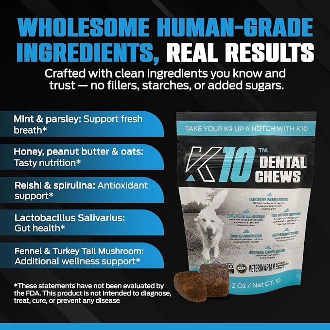 K10 Dental Chews (10 Count) – Low-Calorie Dog Chew with Human-Grade Ingredients – Dog Chews That Support Fresh Breath, Oral Hygiene, Digestion & Vitality – Vet-Preferred Dental Treats for Dogs