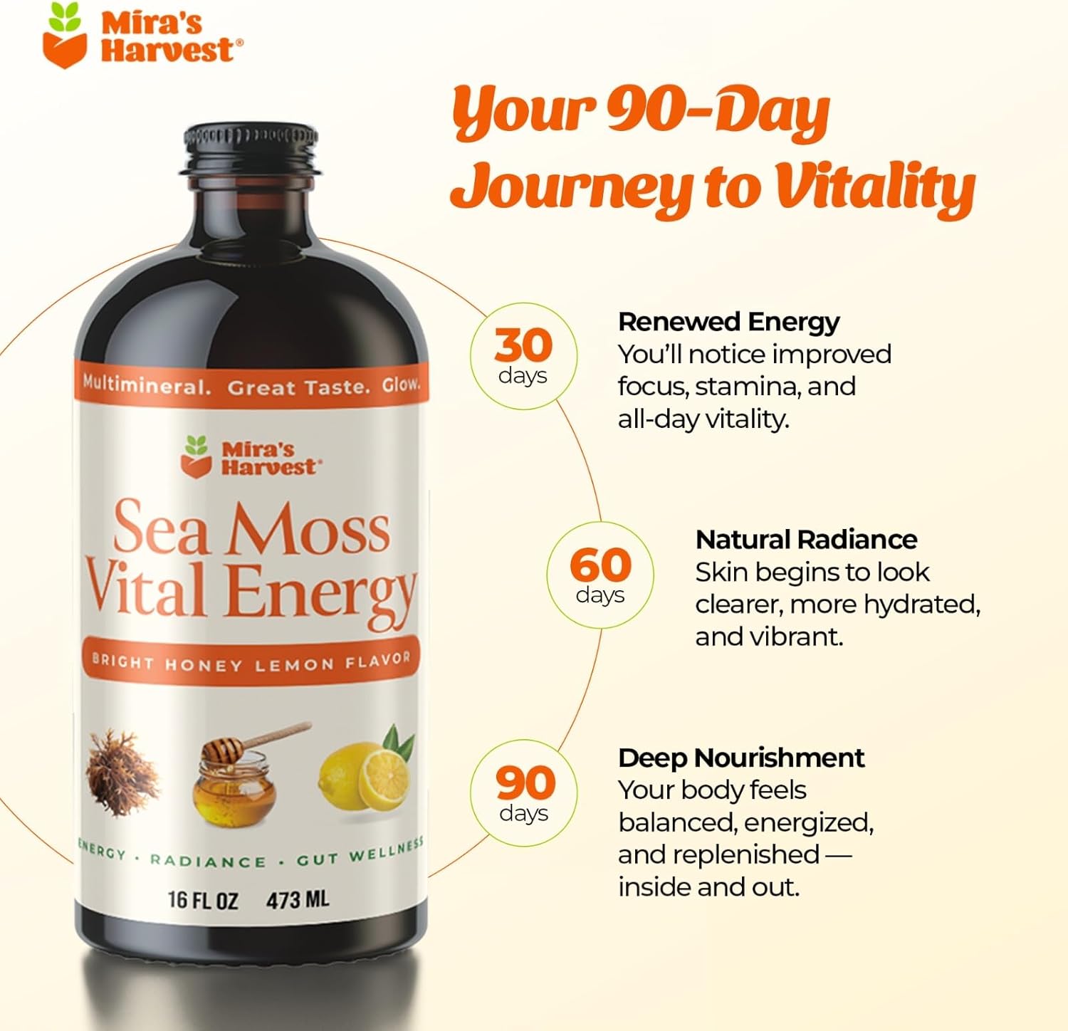 Mira’s Harvest Wildcrafted Sea Moss Bitters Liquid, with Soursop Guanabana 16oz For Energy, immune boost and radiance, ultra absorption, great taste (Seamoss-Honey Lemon)