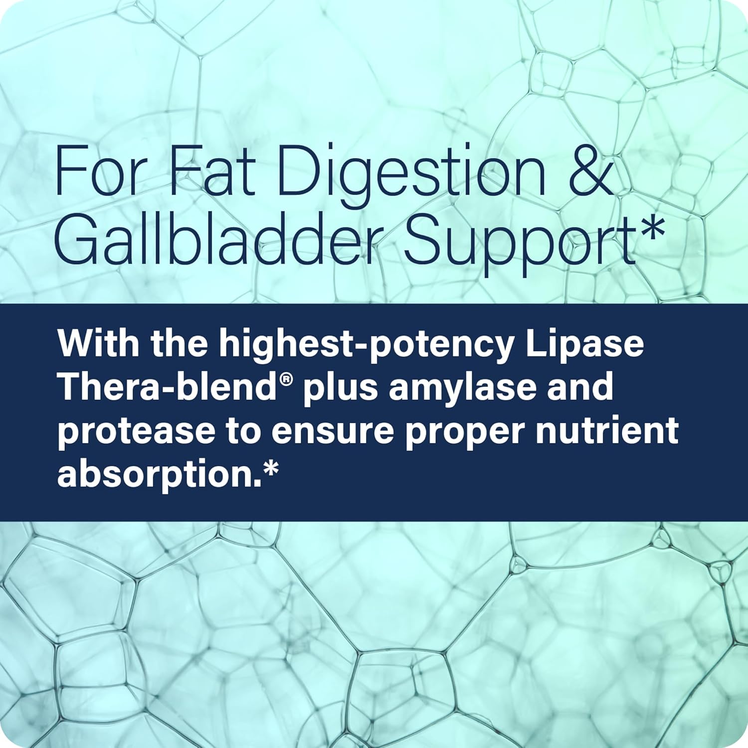 Lypo Optimize - Lipase Digestive Enzyme Supplement - Enzimas Digestivas - Vegan and Kosher - 90 Capsules