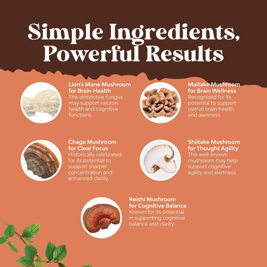 Advanced Mushroom Complex Capsules - 10X Lions Mane Supplement Capsules with Reishi, Chaga, Maitake & Shiitake for Brain Health, Memory Support & Focus - Nootropic for Mental Clarity - 60 Caps