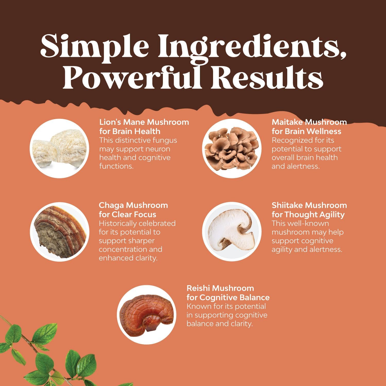 Advanced Mushroom Complex Capsules - 10X Lions Mane Supplement Capsules with Reishi, Chaga, Maitake & Shiitake for Brain Health, Memory Support & Focus - Nootropic for Mental Clarity - 30 Caps