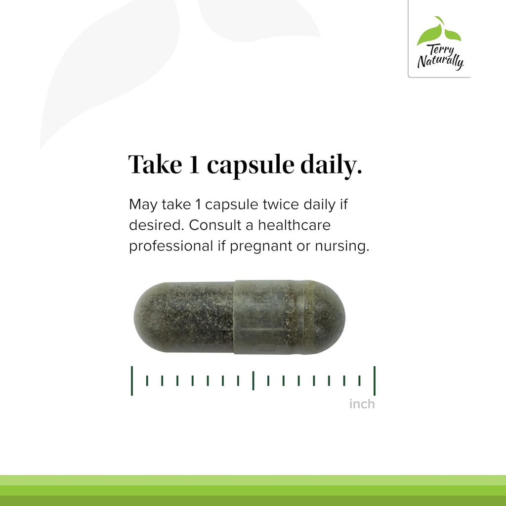 Terry Naturally Andrographis EP80 Extra Strength - Brain Health & Immune Support - Joint Health Support to Aid Mobility - Adaptogen Supplement for Energy & Liver Support - 60 Capsules (Pack of 2)