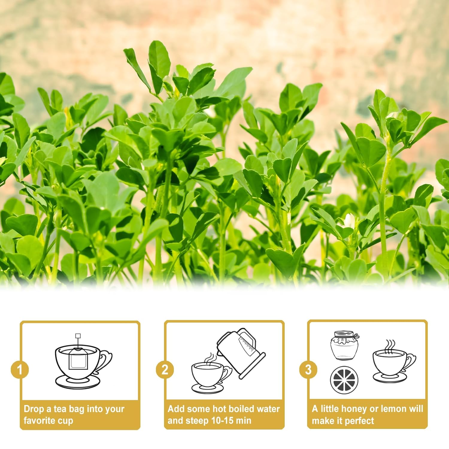 TEARELAE - Fenugreek Tea Bag - 3g x 50 Count - Premium Natural Fenugreek Seed Tea - Non-GMO - Caffeine-free - Support Digestion & Improve Heart Health
