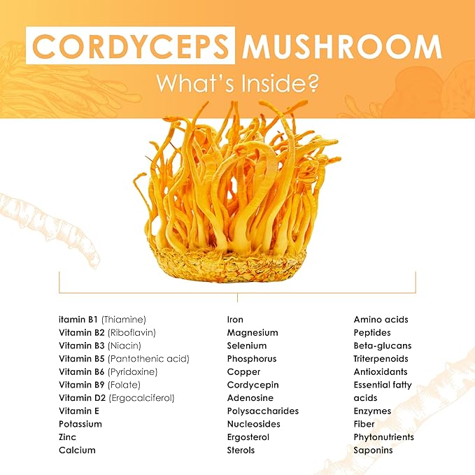 Cordyceps Mushroom Extract Tablets - 30g Monthly Supply - Dual-Extraction Fruiting Body - 35%+ Beta-glucans + Active Compounds - Pure Organic Cultivation - No Fillers or Additives