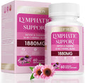 Lymphatic Drainage Supplement 1880 mg, Lymphatic System Support Supplement with Echinacea, Dandelion, Turmeric, Burdock, Elderberry, and Calendula, Lymph Detox Cleanse & Immune Support, 60 Capsules