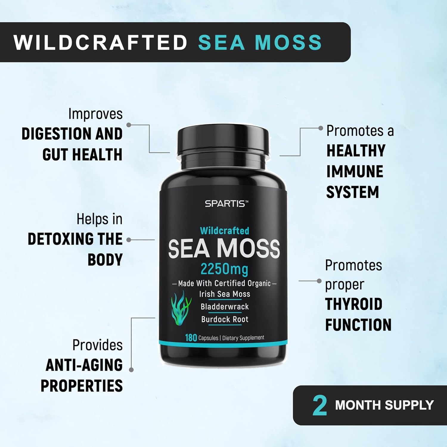 Certified Organic Sea Moss Capsules 2250mg Wildcrafted Irish Sea Moss Burdock Root Bladderwrack Supplement Raw Seamoss Pills & Powder (Pack of 1 at 180-Caps)