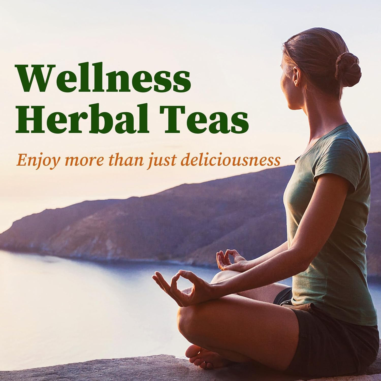 FullChea - Ginkgo Biloba Tea Bags, 36 Teabags - Premium Dried Ginkgo Biloba Leaves - Non-GMO - Caffeine-free - Support Memory & Focus