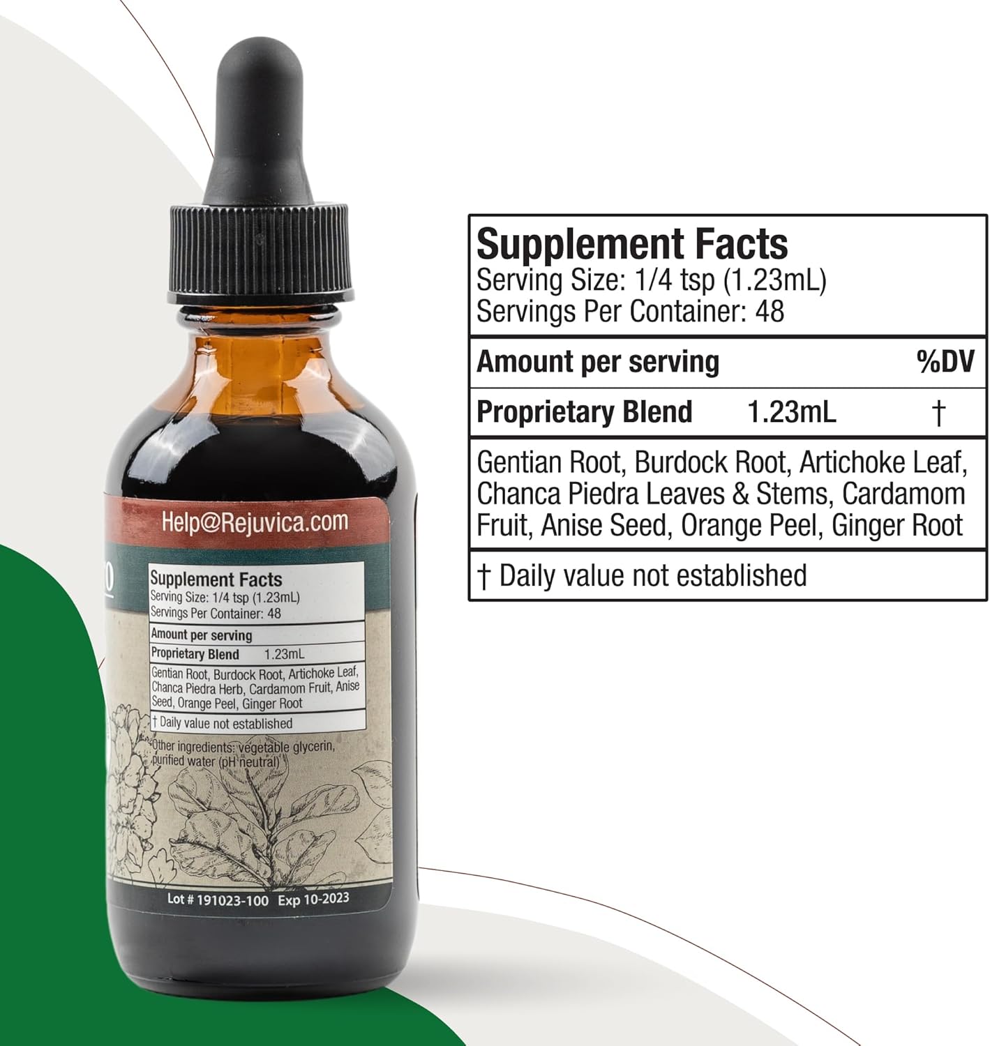 Rejuvica Health DigestaPro - Advanced Digestive Bitters Supplement - Liquid Delivery for Better Absorption - Gentian, Artichoke, Burdock, Chanca Piedra, Ginger & More!