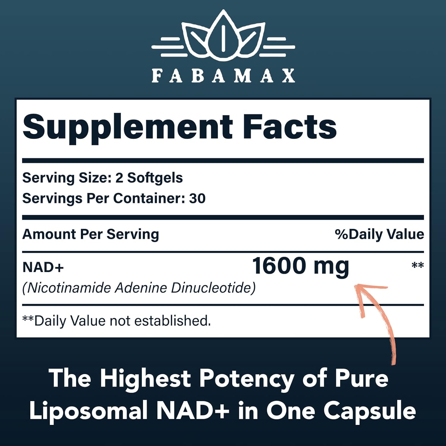 1600 mg Liposomal NAD Supplement, 98% Pure NAD+ Supplement, Superior Absorption, Alternative to Nicotinamide Riboside or NADH to Boost NAD+ for Aging Defense, Energy, Longevity, 360 Softgels