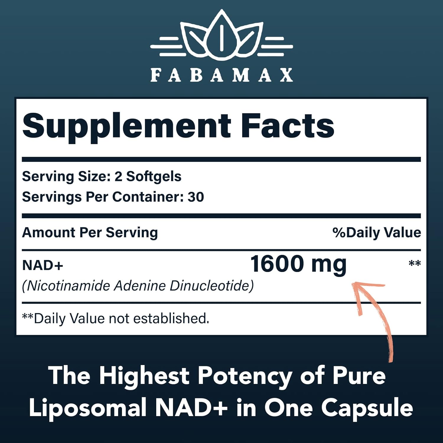 1600 mg Liposomal NAD Supplement, 98% Pure NAD+ Supplement, Superior Absorption, Alternative to Nicotinamide Riboside or NADH to Boost NAD+ for Aging Defense, Energy, Longevity, 600 Softgels