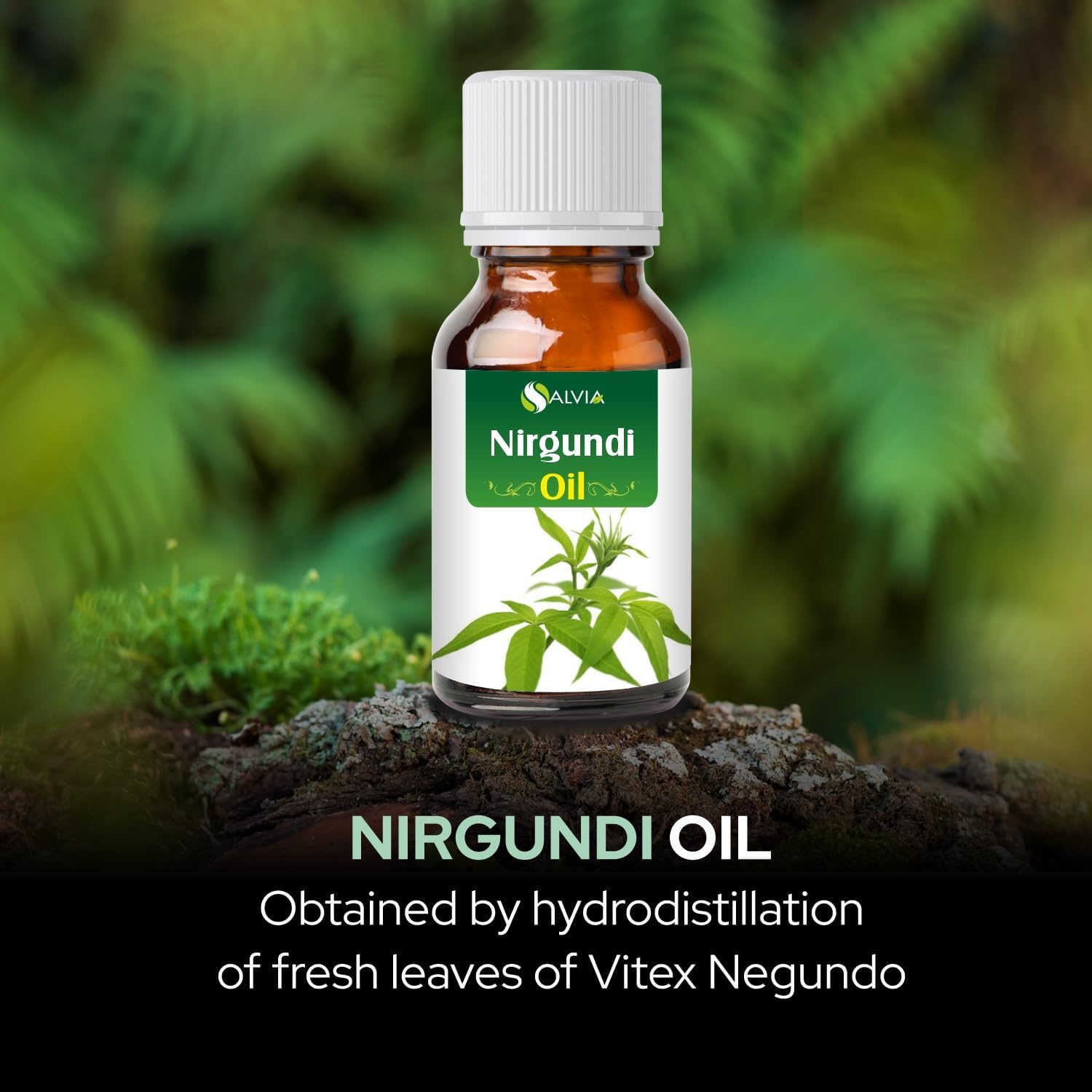 Nirgundi Oil (Vitex negundo) Therapeutic Essential Oil 100% Natural & Pure Undiluted Uncut Cold Pressed Aromatherapy Premium Oil Therapeutic Grade - 30 ML