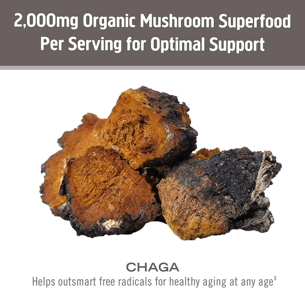 OM MUSHROOM SUPERFOOD Chaga Organic Mushroom Powder, 3.5 Ounce, 50 Servings, US Grown, Sacred Antioxidants & Immune Support, Superfood Mushroom Supplement