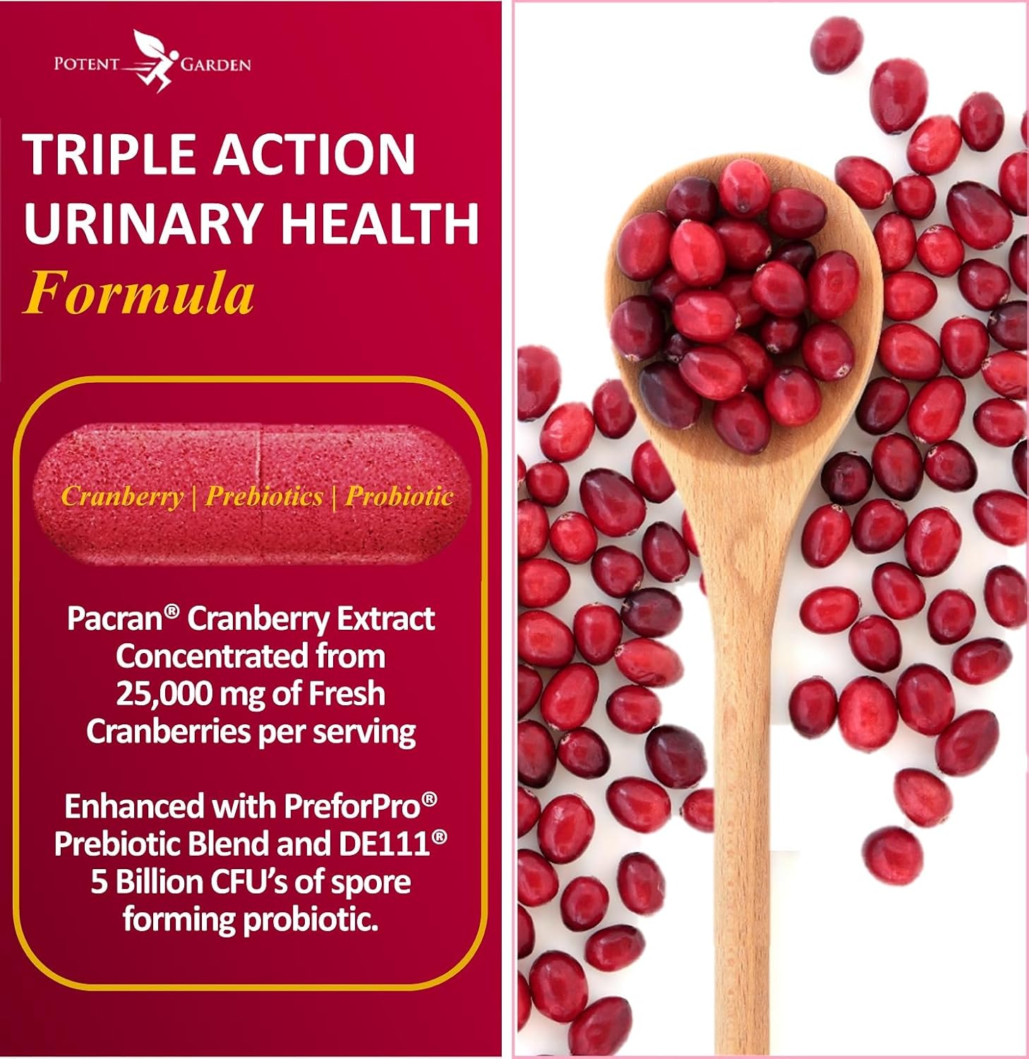 Potent Garden Urinary Support Womens Probiotic for Urinary Tract Health for Women, Cranberry Capsules with 5 Billion CFUs Cranberry Extract, Prebiotics and Probiotics for Women, 60 Caps, 30 Servings
